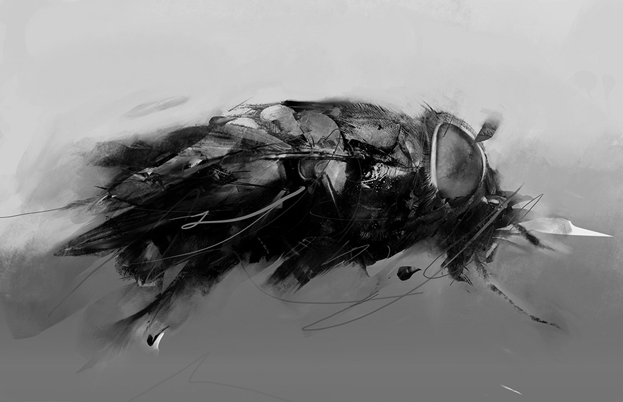 Mosca digital illustration by Javier Casas Moscko
